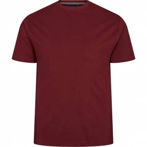 NORTH 56° tshirt taglie forti uomo 99010