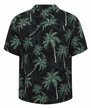 NORTH LATITUDE camicia manica corta taglie forti uomo 51343