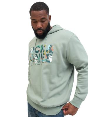 JACK&JONES felpa cotone felpato taglie forti uomo 12279604