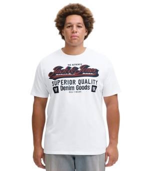 JACK&JONES tshirt taglie forti uomo 12284905