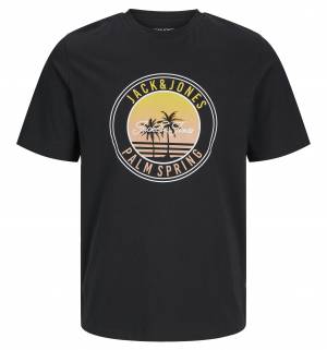 JACK&JONES tshirt taglie forti uomo 12275775