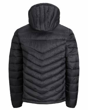 JACK&JONES giubbino taglie forti uomo 100 grammi 12214531