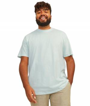 JACK&JONES tshirt taglie forti uomo 12250623