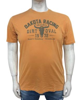 REDFIELD tshirt delavè taglie forti uomo 2780