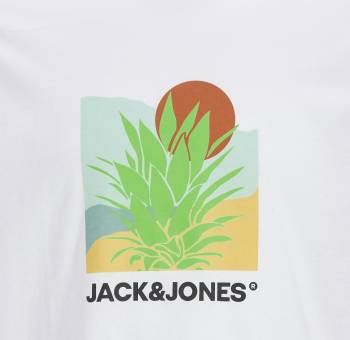 JACK&JONES tshirt taglie forti uomo 12275772