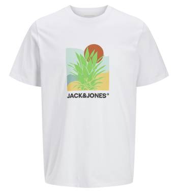 JACK&JONES tshirt taglie forti uomo 12275772