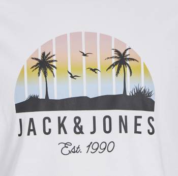 JACK&JONES tshirt taglie forti uomo 12275775