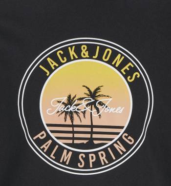 JACK&JONES tshirt taglie forti uomo 12275775