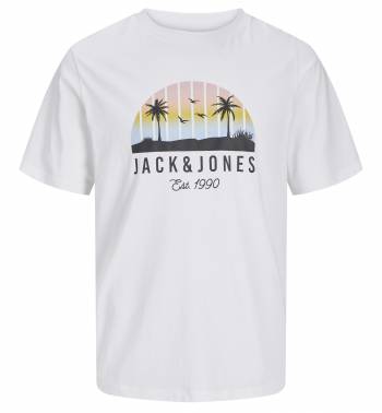 JACK&JONES tshirt taglie forti uomo 12275775