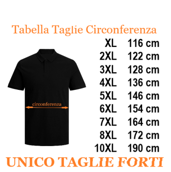 REDFIELD tshirt delavè taglie forti uomo 2780
