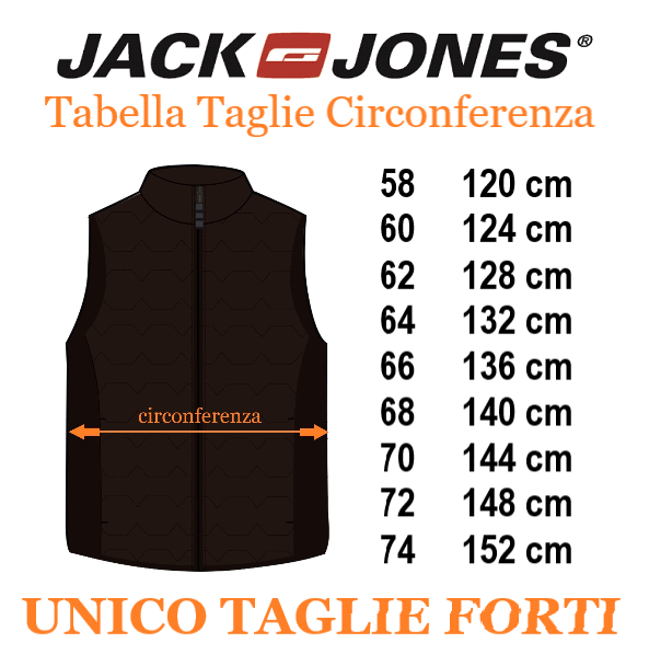 A-M gilet taglie forti uomo tonale
