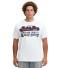 JACK&JONES tshirt taglie forti uomo 12284905