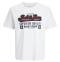 JACK&JONES tshirt taglie forti uomo 12284905