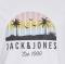 JACK&JONES tshirt taglie forti uomo 12275775